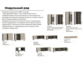 Гостиная Отис Дуб Крафт Серый/Антрацит в Верхней Салде - verhnyaya-salda.magazinmebel.ru | фото - изображение 5